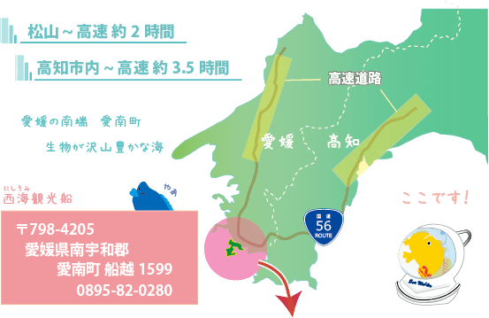 愛媛の南端、愛南町に西海観光船があります。松山からは約二時間、高知市内からは約三時間半です。