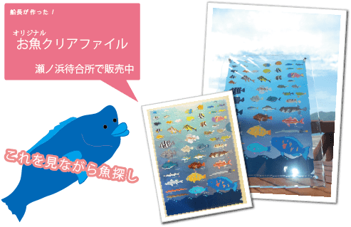 船長が作ったオリジナルクリアファイル。日本全国ココだけでしか購入できない、綺麗な魚の名前が分かるクリアファイルです。