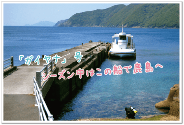 桟橋に停泊するガイヤナ号は夏の間は鹿島の往復便専用となります。繁忙期はこちらの船でお越しください。