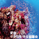 愛南サンゴを守る協議会