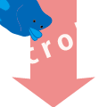 下へスクロールできます