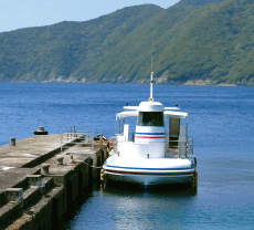 海底が見える船