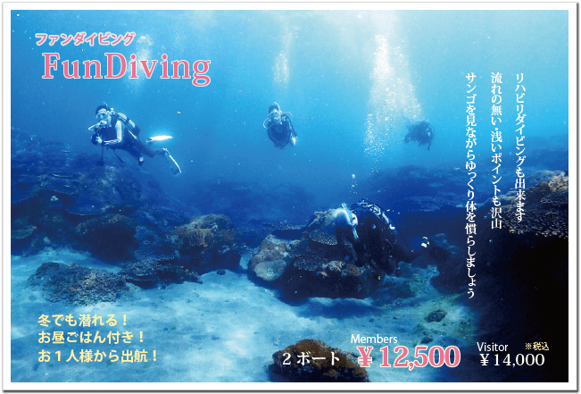 サンゴを見ながらゆっくりと泳ぐ4人のダイバー。リハビリダイビング～上級者まで2ボートは12500円（会員）です。