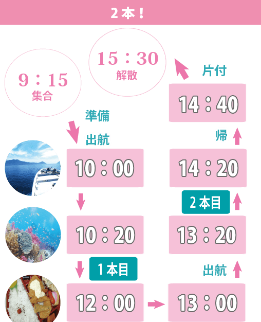 10時に出航して、15時半に解散になるスケジュールが多いです。