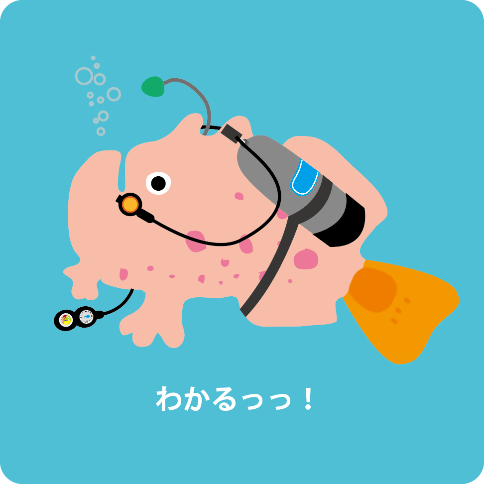 分かりやすい価格。案内。カエルアンコウ。