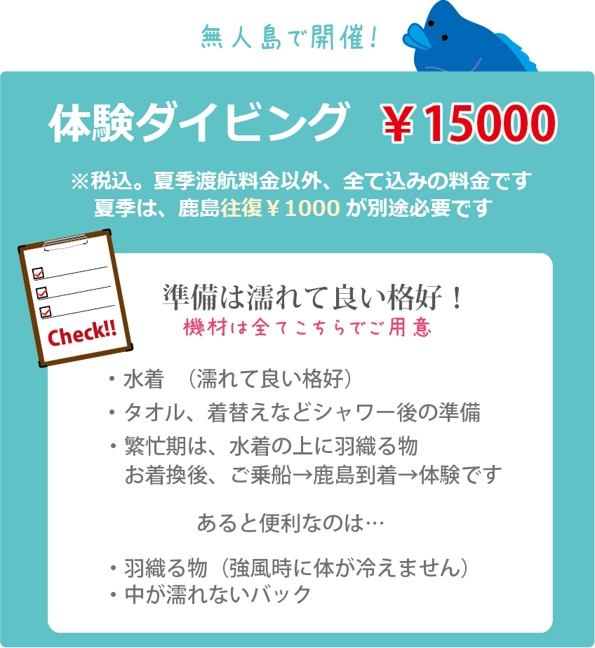 無人島で体験ダイビング、料金はお一人様15000円です。