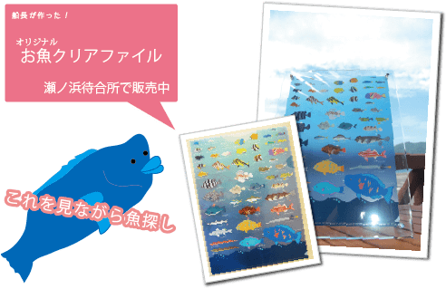 観光船の瀬ノ浜待合所では、船長が作成のオリジナル、お魚クリアファイルを販売しています。裏が透けて魚の種類もわかる綺麗なファイル。