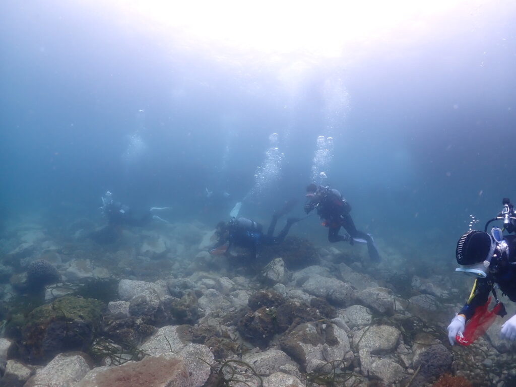 愛南町の海を綺麗にする、ダイバーの活動の様子